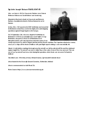 A preview of a PDF biography for Robson, John Joseph